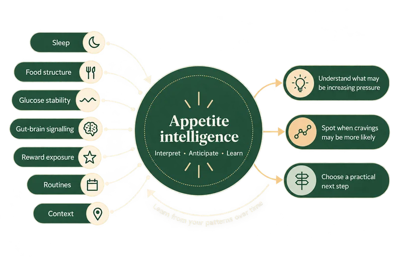 Everyday signals feed into appetite intelligence, which helps identify increasing pressure, anticipate cravings and choose a practical next step while learning from patterns over time.