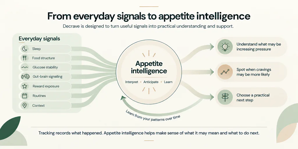 From everyday signals to appetite intelligence. Decrave interprets sleep, food structure, glucose stability, gut-brain signalling, reward exposure, routines and context to help identify appetite pressure, anticipate cravings and choose a practical next step.