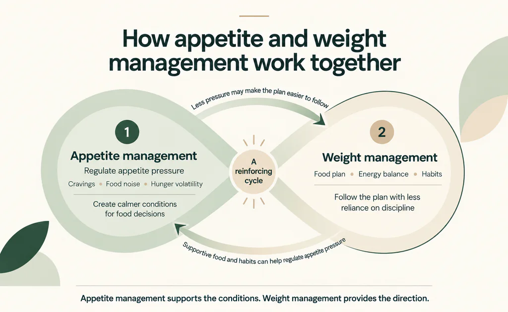 How appetite and weight management work together as a reinforcing cycle. Appetite management regulates appetite pressure and helps create calmer conditions for food decisions. Weight management provides a food plan, energy balance and habits.